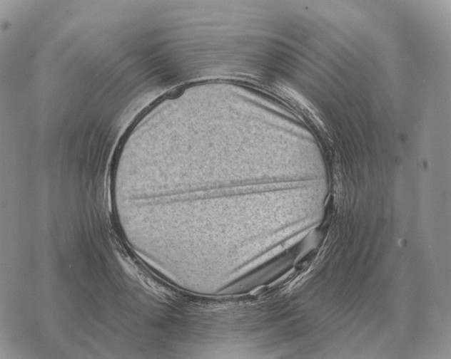 X0000072980892200608111738