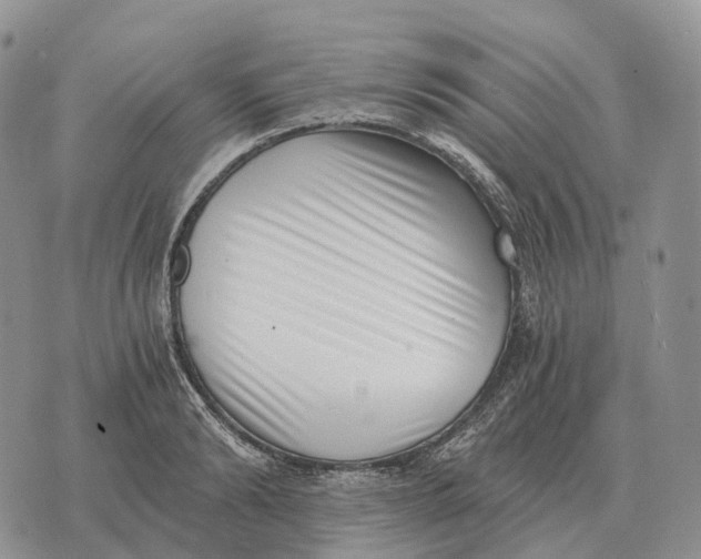 X0000072980894200608111738