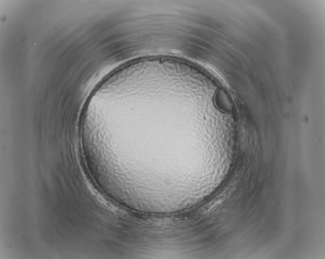 X0000072980895200608111738