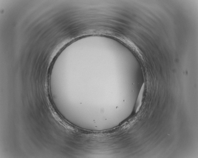 X0000072980896200608111738