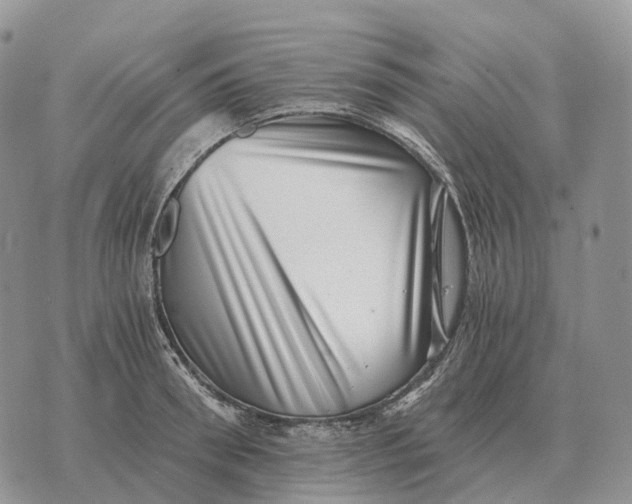 X0000072980898200608111738