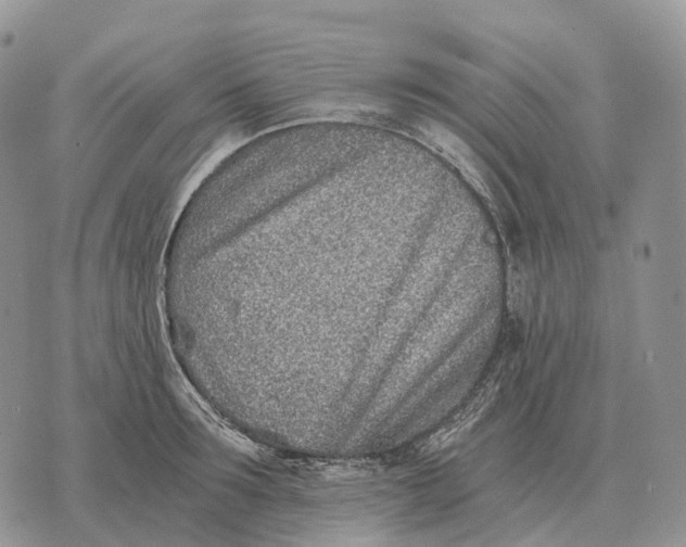 X0000072980899200608111738