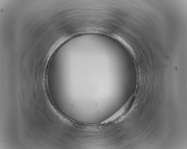 X0000072980901200608111738