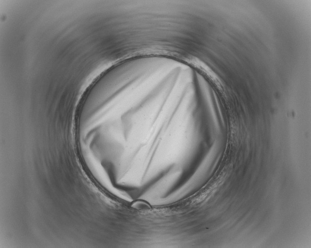 X0000072980902200608111738