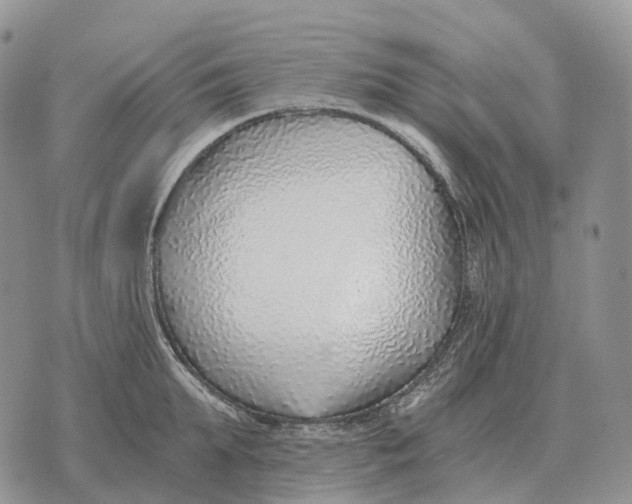 X0000072980903200608111738