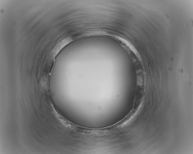 X0000072980905200608111738