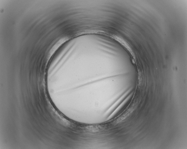 X0000072980906200608111738