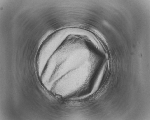 X0000072980907200608111738