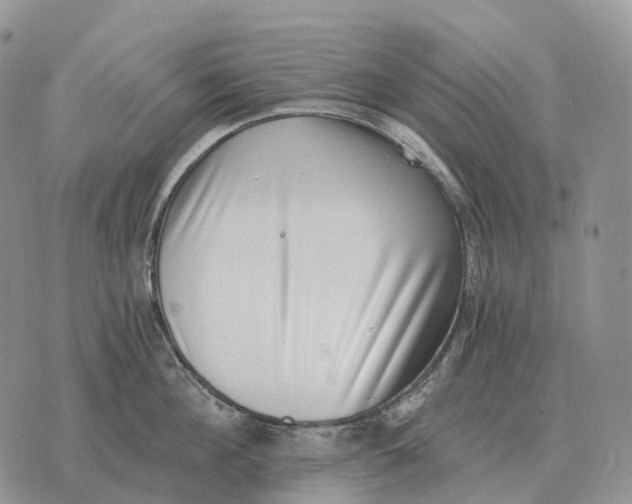 X0000072980908200608111738