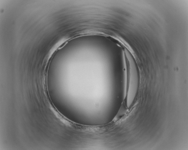 X0000072980909200608111738