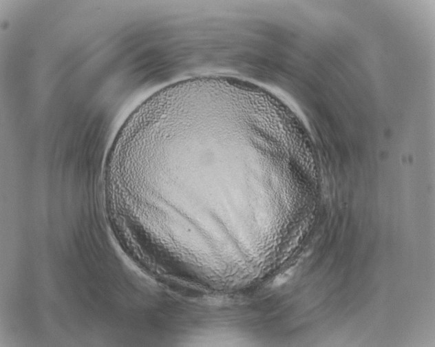 X0000072980911200608111738