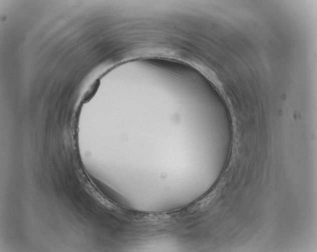 X0000072980912200608111738