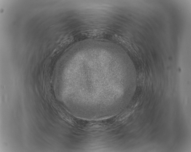 X0000072980913200608111737