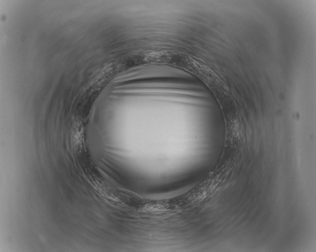 X0000072980914200608111737