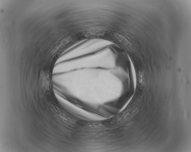 X0000072980915200608111737