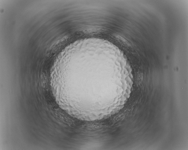 X0000072980917200608111737