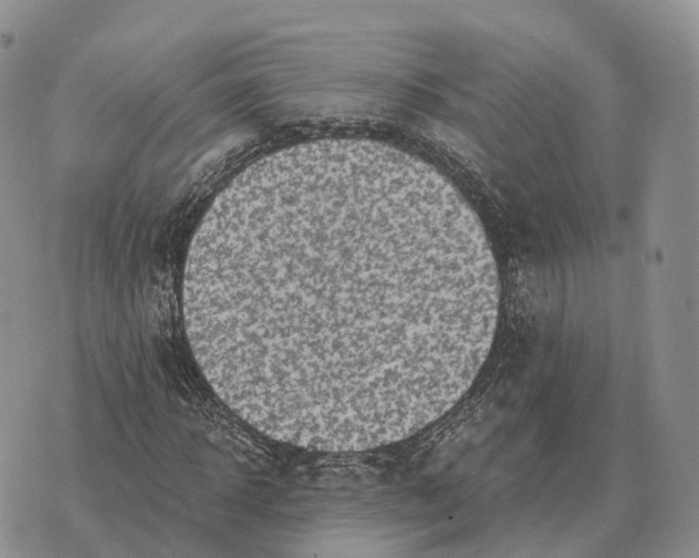 X0000072980918200608111737