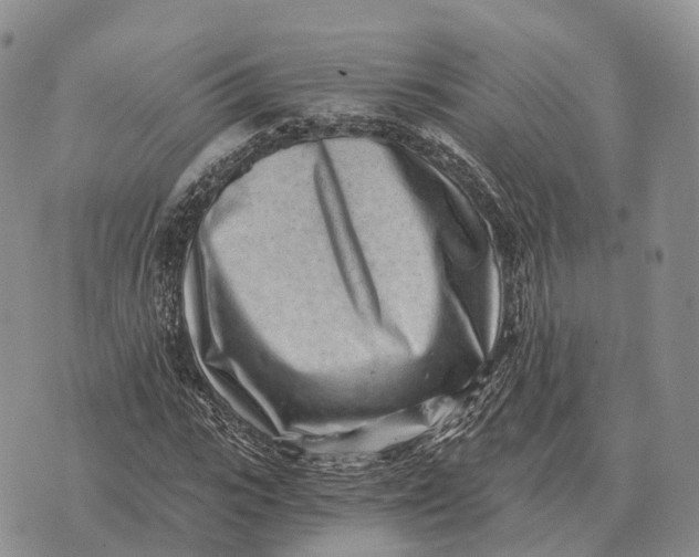 X0000072980919200608111737