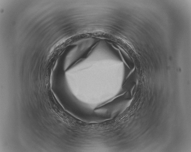 X0000072980920200608111737