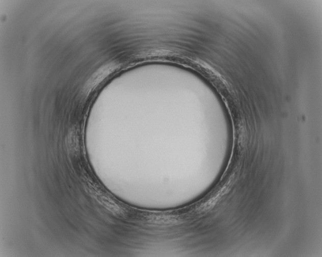 X0000072980921200608111737