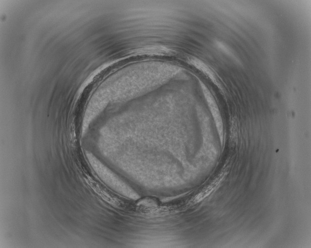 X0000072980923200608111737