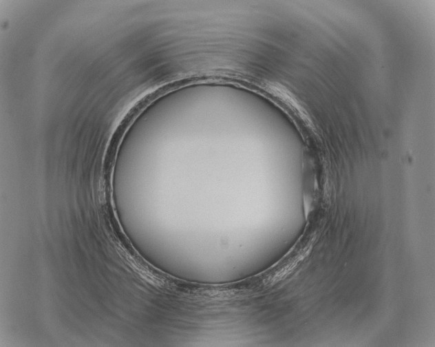 X0000072980924200608111737