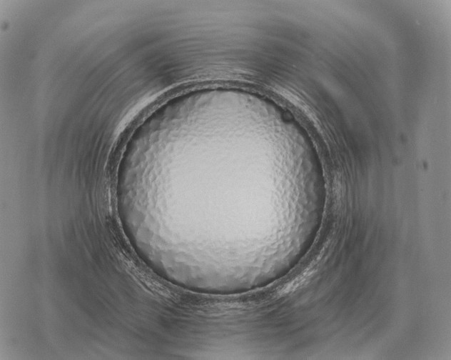 X0000072980925200608111737