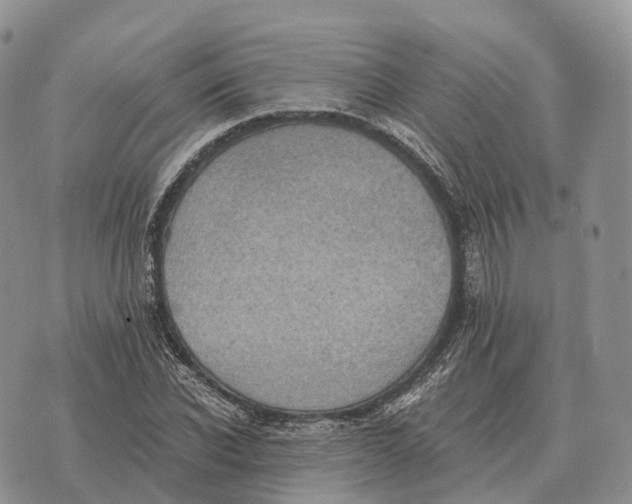 X0000072980926200608111737