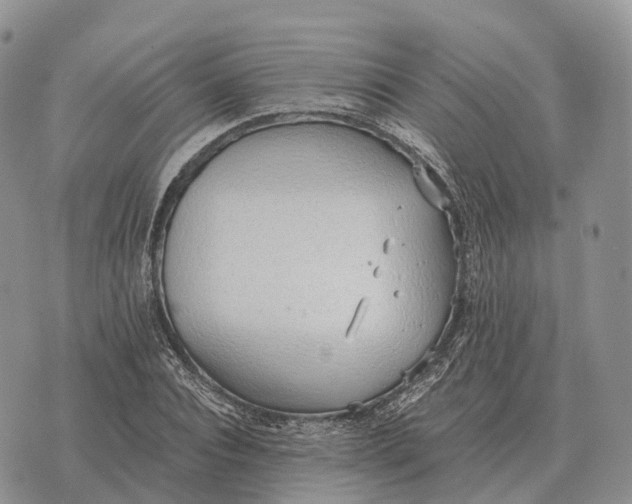 X0000072980928200608111738