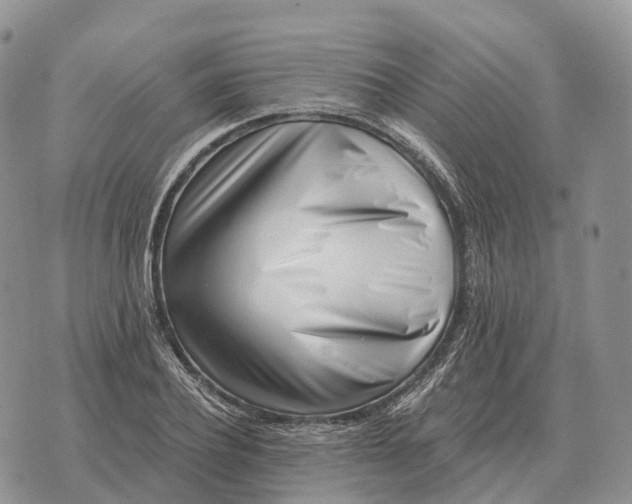 X0000072980932200608111738