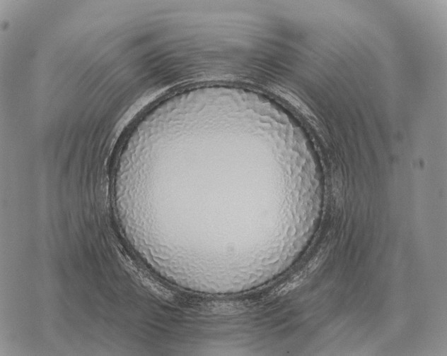 X0000072980933200608111738