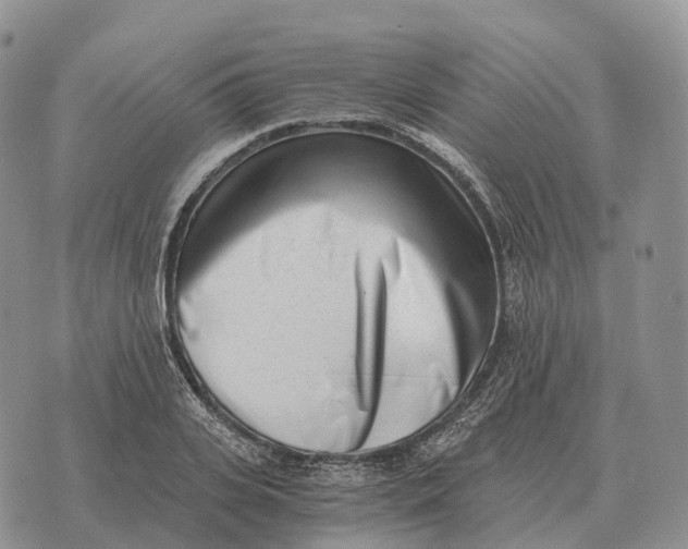 X0000072980935200608111738