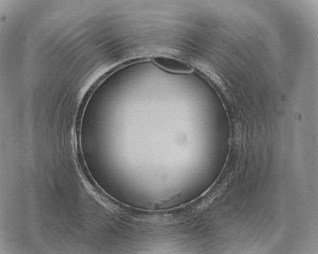 X0000072980936200608111738