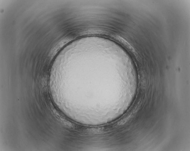 X0000072980937200608111738