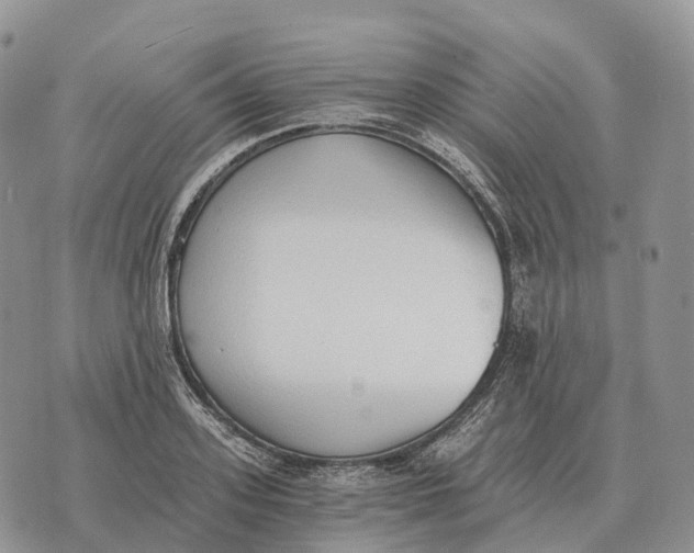 X0000072980939200608111738