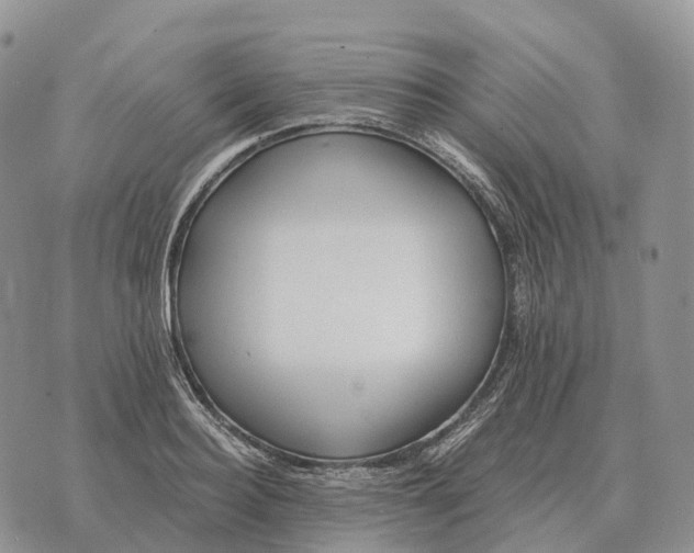 X0000072980940200608111738