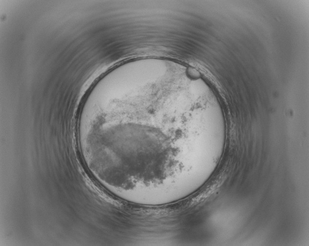 X0000072980941200608111738