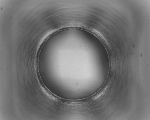 X0000072980942200608111738