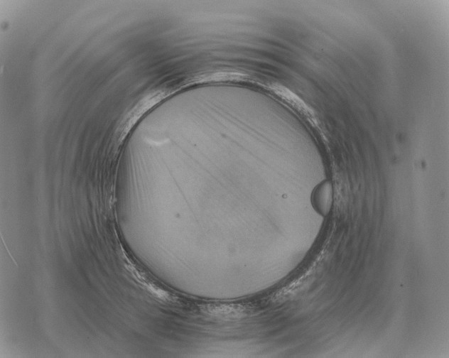 X0000072980945200608111738