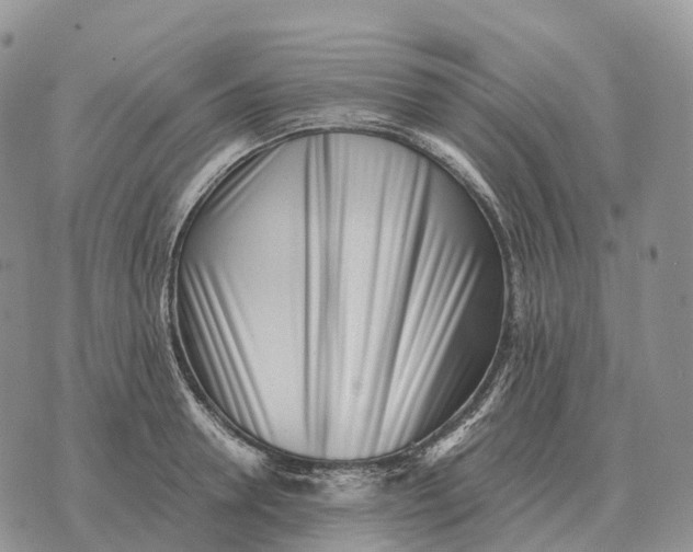 X0000072980946200608111738