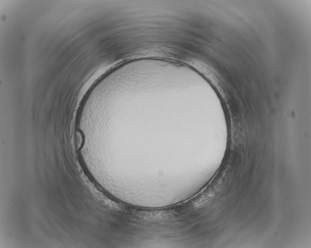 X0000072980949200608111738