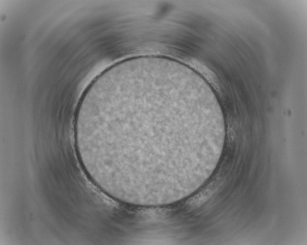 X0000072980950200608111738