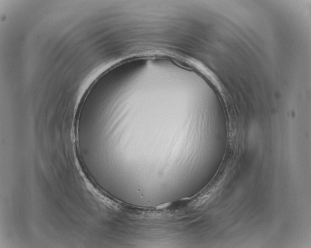 X0000072980951200608111738