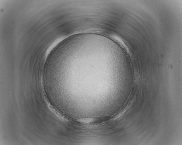 X0000072980952200608111738