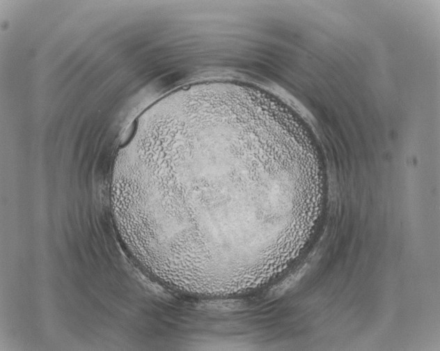 X0000072980953200608111738