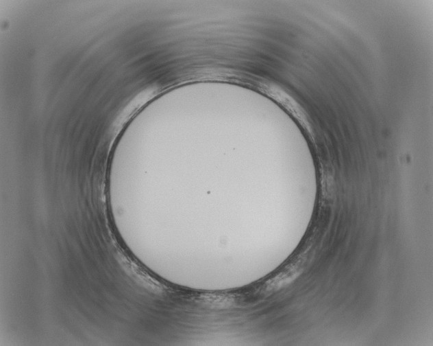 X0000072980954200608111738