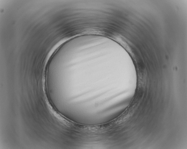 X0000072980955200608111738