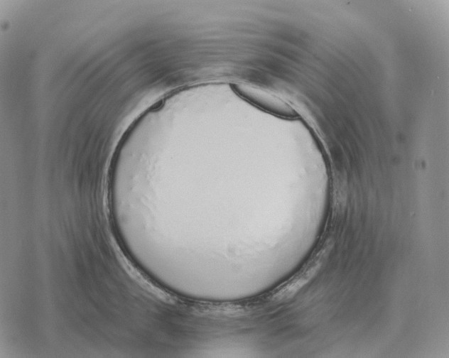 X0000072980957200608111738