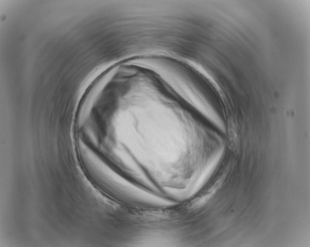 X0000072980959200608111738