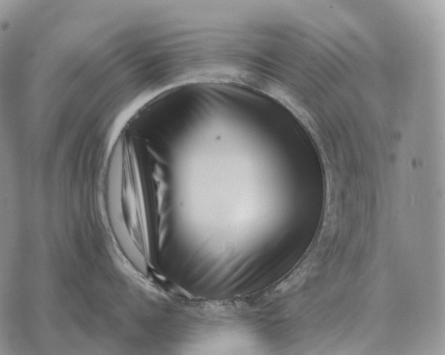 X0000072980960200608111738